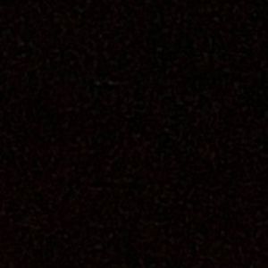 Meet your Posher, Willa